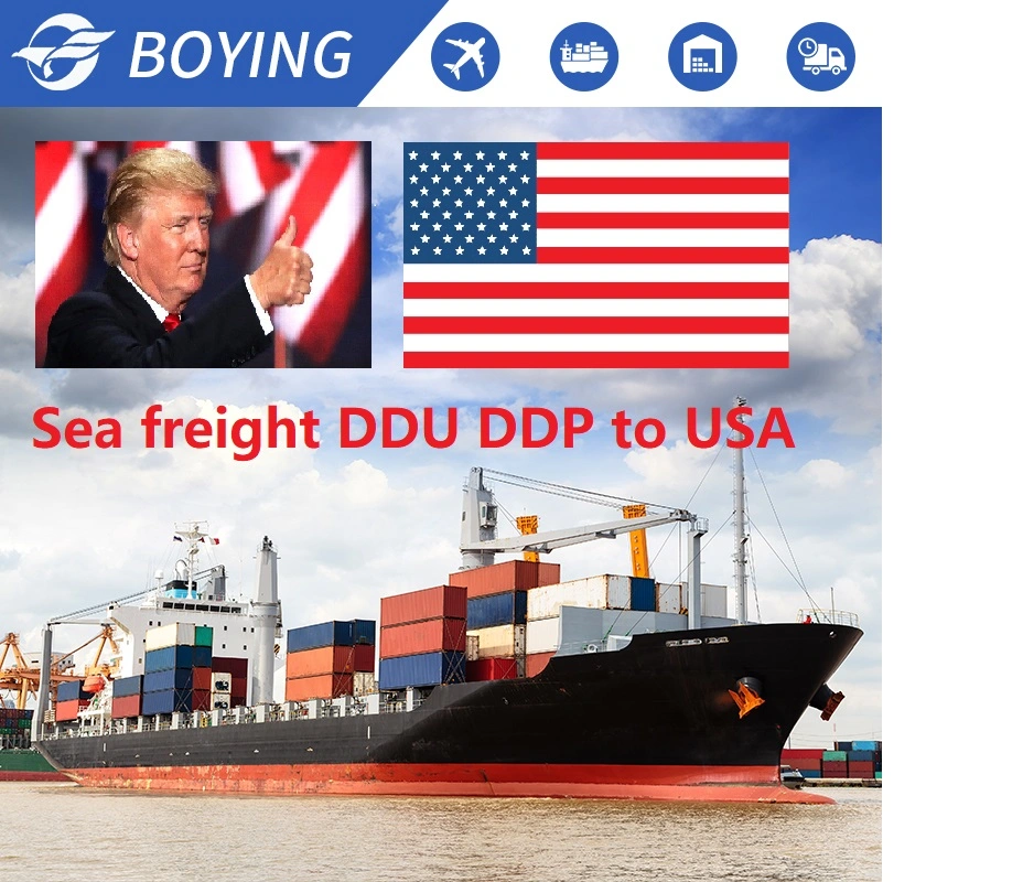 20 Years Fast Delivery Air Shipping Sea Freight Forwarder Logistics Shipping Agent From China to USA