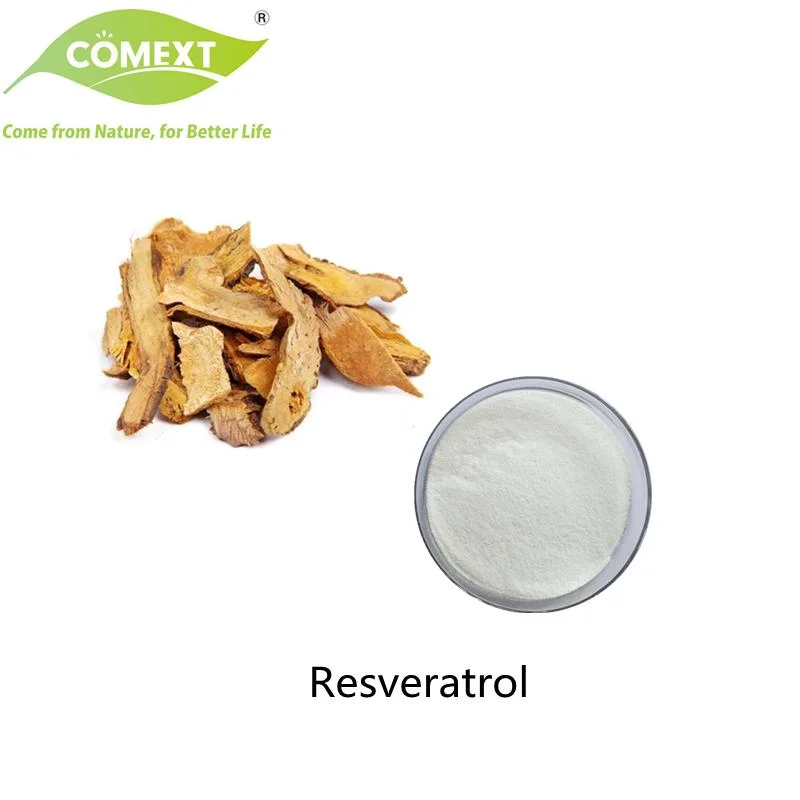 Comext Health Product Resveratrol Extract Top Grade Resveratrol 50%~98% Powder Polygonum Cuspidatum Extract