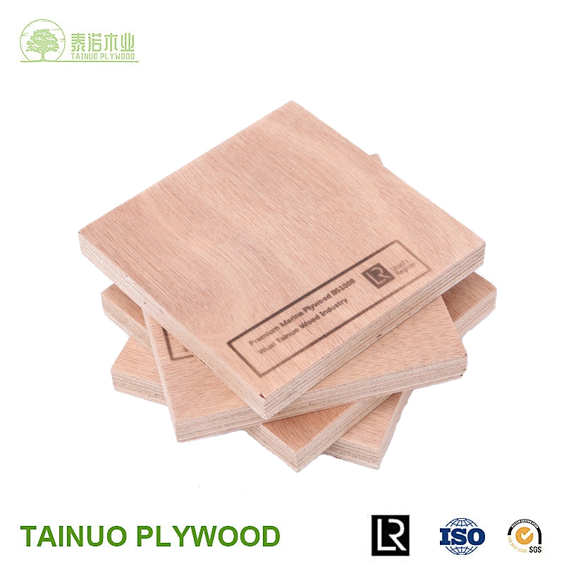 Furniture Plywood Decoration Plywood Poplar Plywood