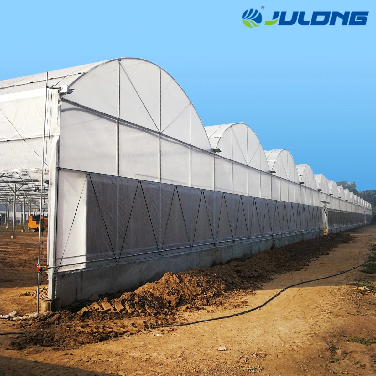 Hot Sale and Popualr Multi-Span Plastic Film Greenhouse with Hydroponic Growing System