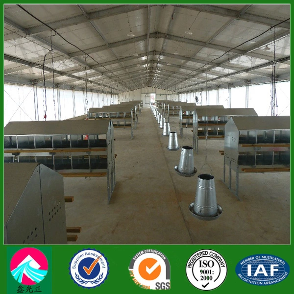 Prefabricated Light Steel Poultry House for Modern Breeding (XGZ-pH017)