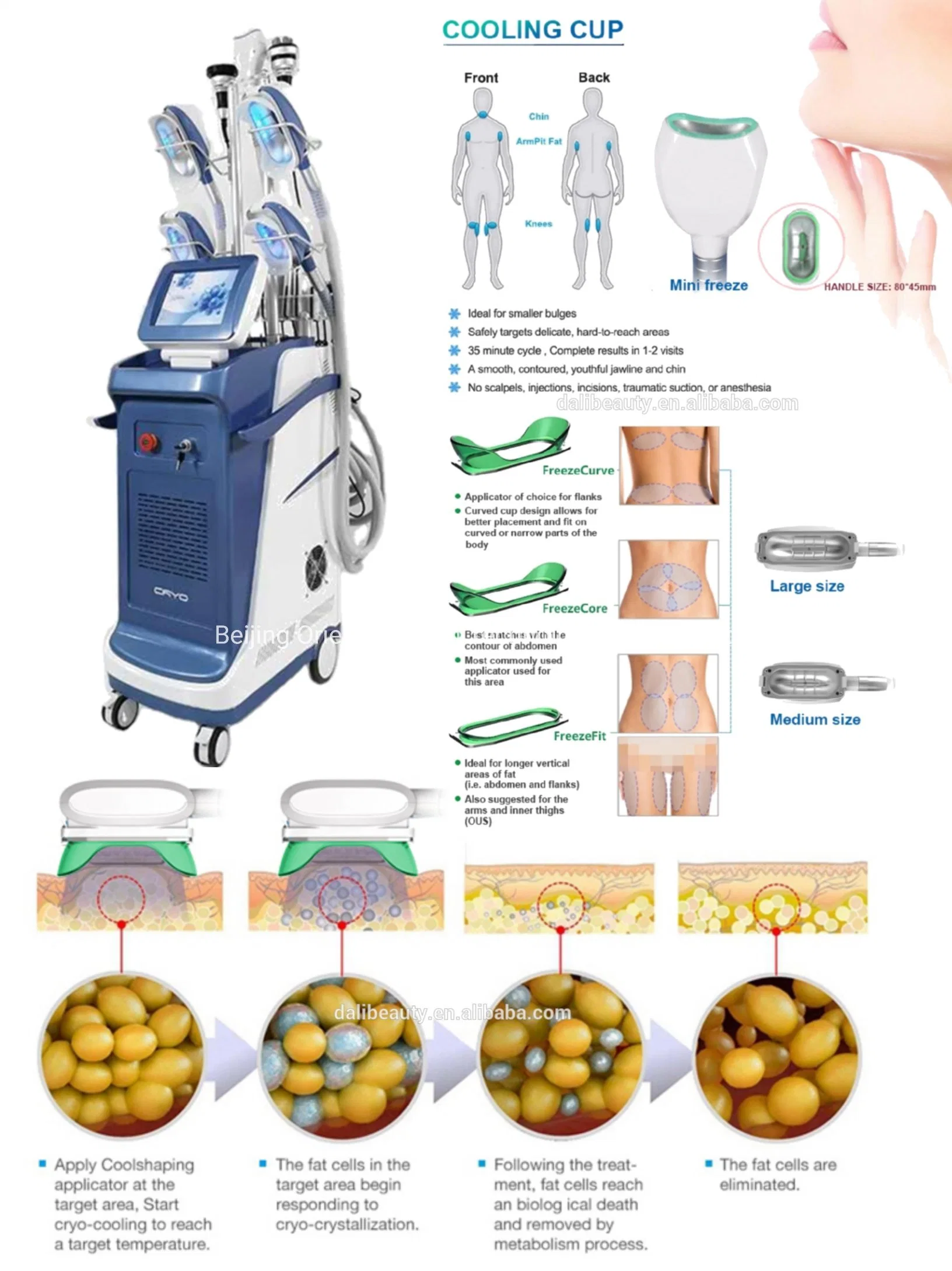 Криотерапия Физиотерапия Cryo Slimming Machine Cryolipolysis Fat Freeze 360 5 Ручки для криолиполиоза