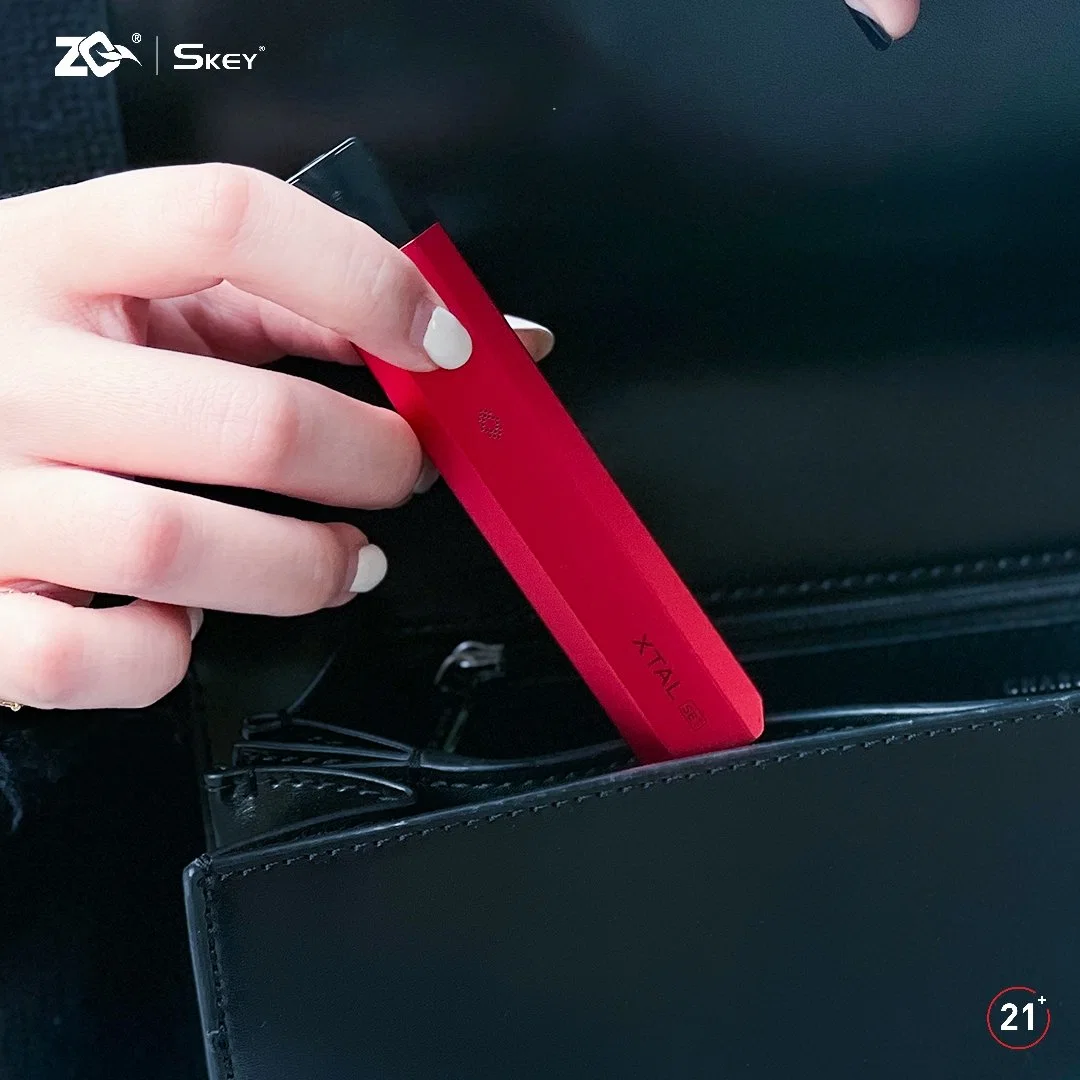 Le Starter Kit E cigarette populaire Rechargeable Kit de pod Vape Vape cartouche rechargeable