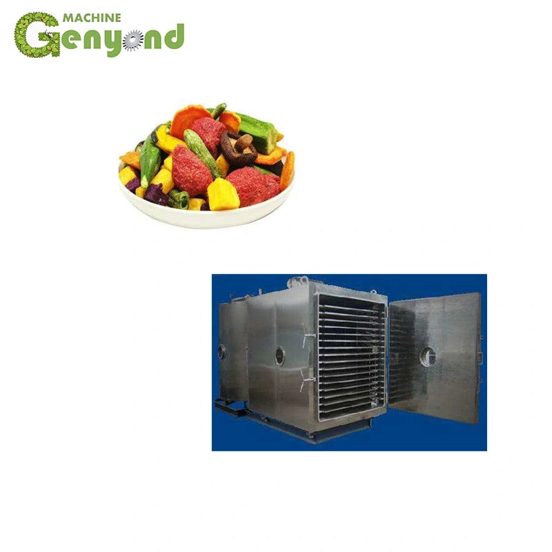 Factory Vacuum Lyophilizer Food Freeze Dryer Drier Equipment Fruit and Vegetable Freeze Drying Machine