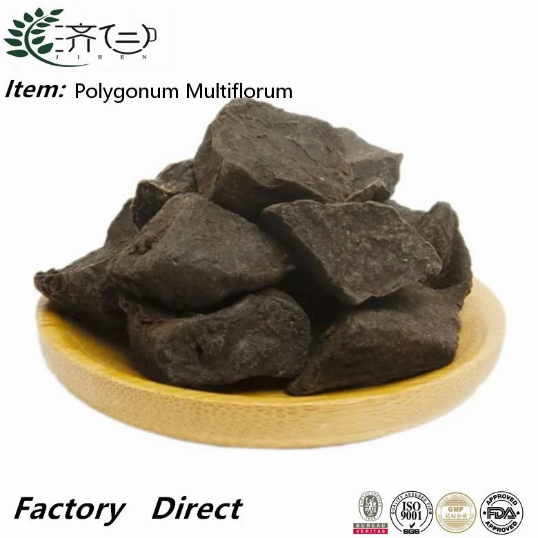 Wholesale/Supplier Quality Assured Pure Natural Bulk Polygonum Multiflorum Crude Medicine