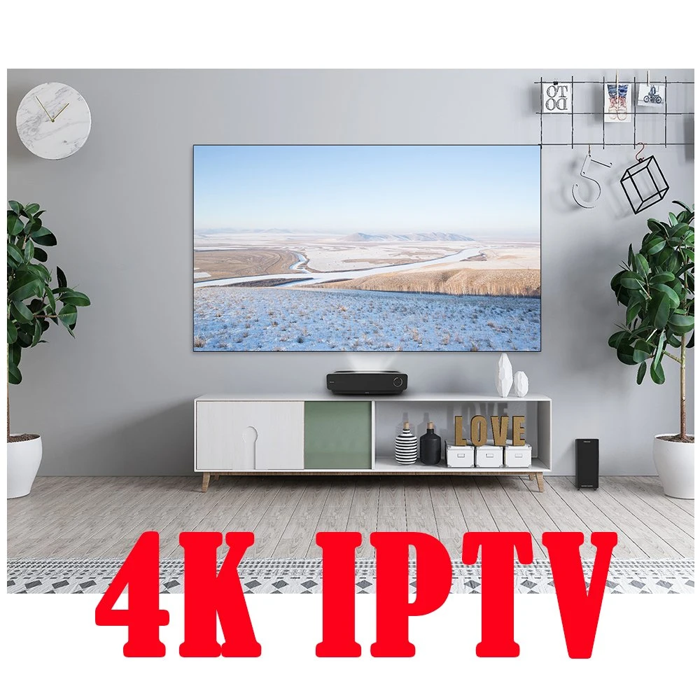 2022 Hot Sale IPTV Revendeur de test gratuit de bord pour l'Europe Allemagne Suisse Pays-Bas La liste de canal m3u Démo gratuite TV Box Smart TV IPTV Server