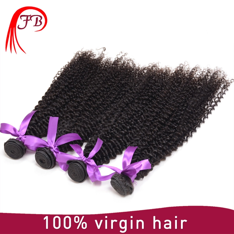 Wholesale Cheap Price Human Hair Weave Brazilian Hair in China Afro Kinky Curly Hair Bundles