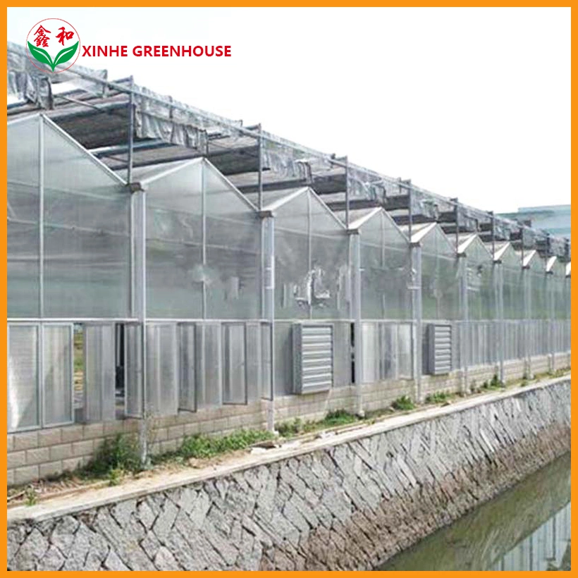 Tunnel Greenhouse for Mushroom Growing with Ventilation System