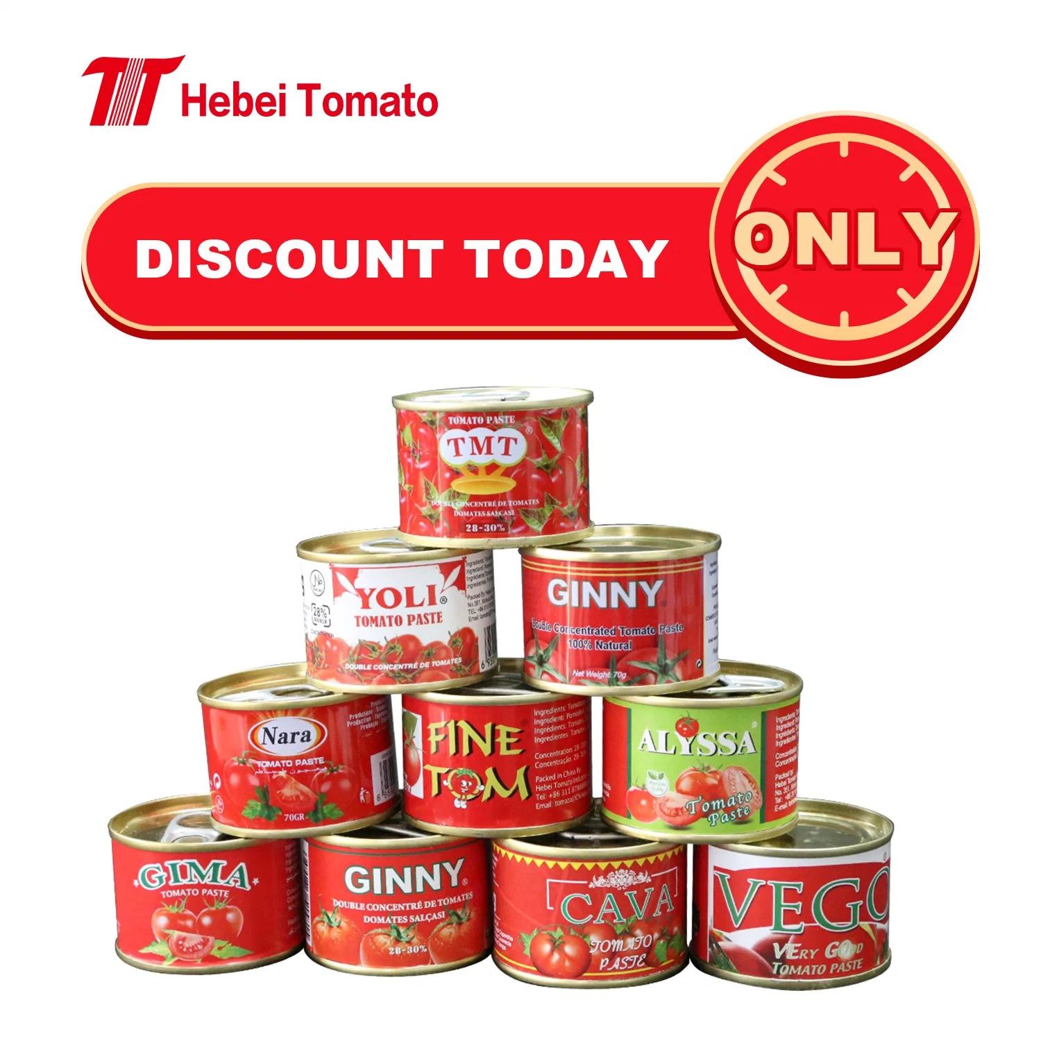 Canned Tomato Paste 70g in Tins Without Additive