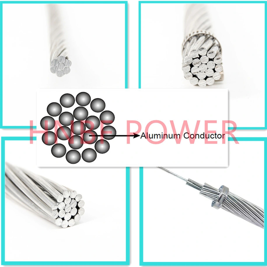 All Aluminum Conductor AAC Overhead Power Transmission Line Bare Aluminum Conductor Wire