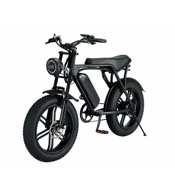 Electric Bicycle for Beach and Offroad Adventures
