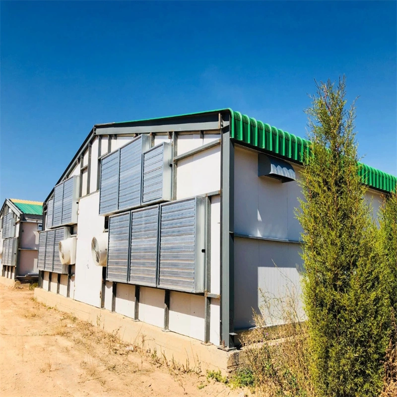 China Low Cost Prefab Metall Stahl Struktur Farm Building Kuh Hühnerschaf Scheune Schuppen zum Verkauf