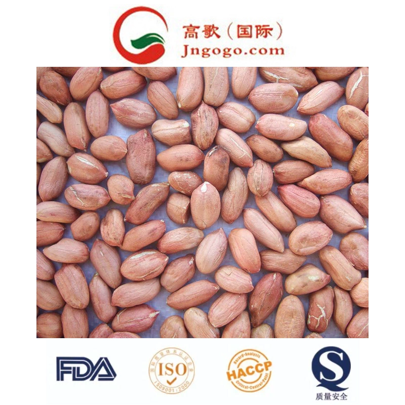 High quality/High cost performance  Red Skin Peanut Kernel