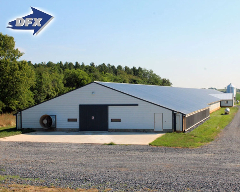 Popular Prefab Design Steel Structure Farm Shed Building / Chicken Houses / Poultry Farms