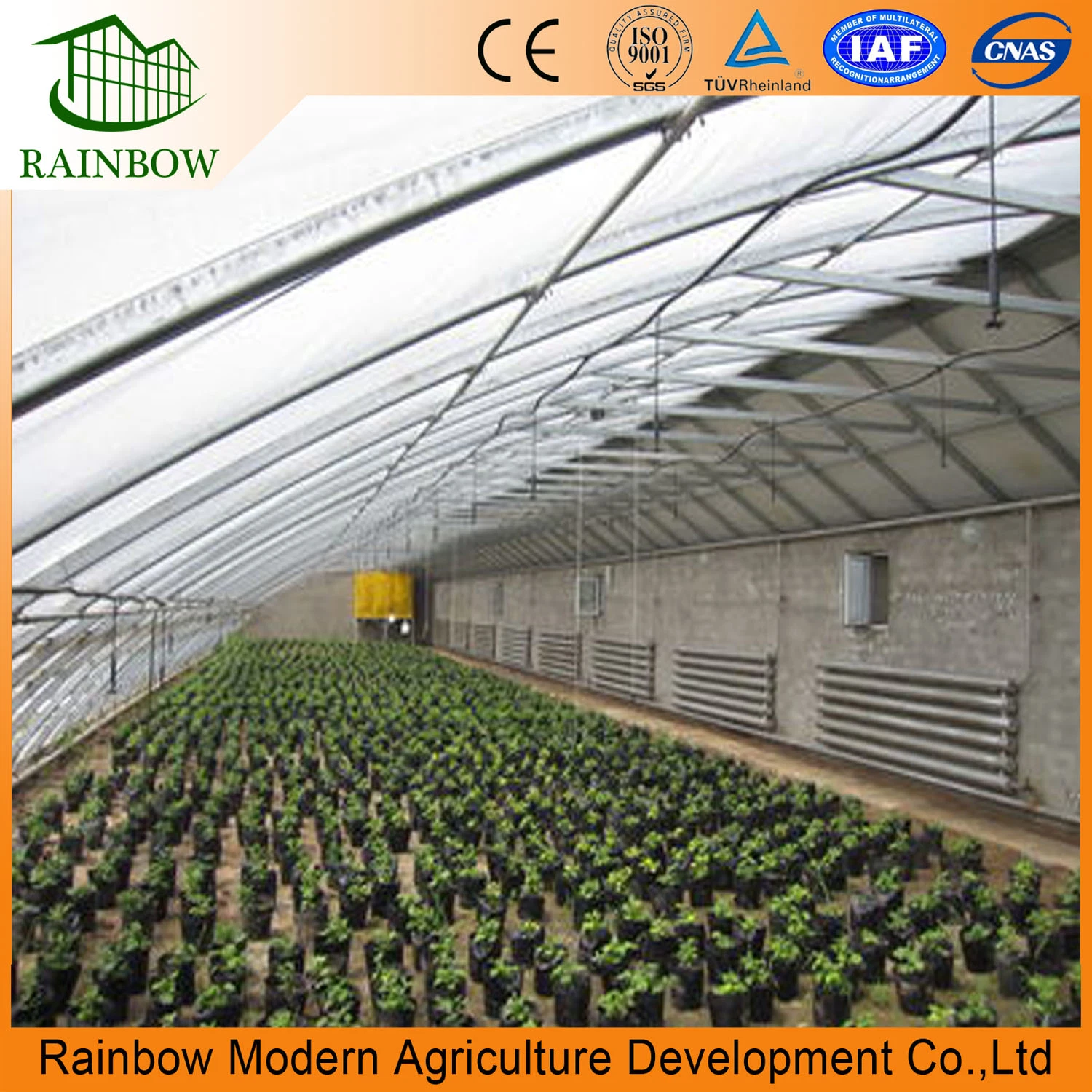 Low Cost Commercial Greenhouse for Vegetables