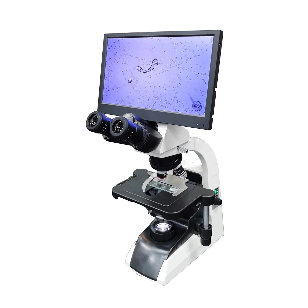 Biological Microscope with Screen and Camera