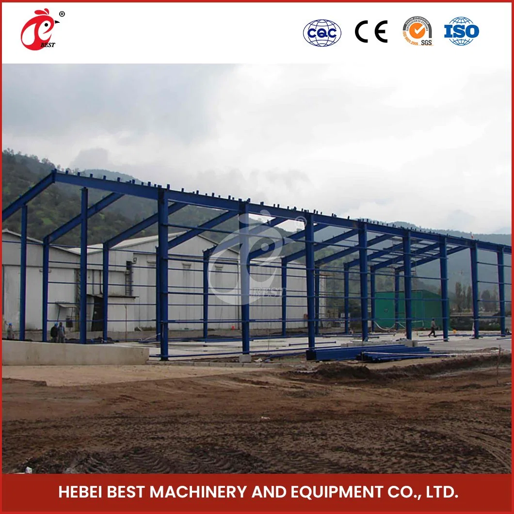 Bestchickencage Steel Poultry House China Low-Cost Steel Prefab Poultry House Supplier Wholesale/Supplier High Rigid Steel Structure Chicken Farm