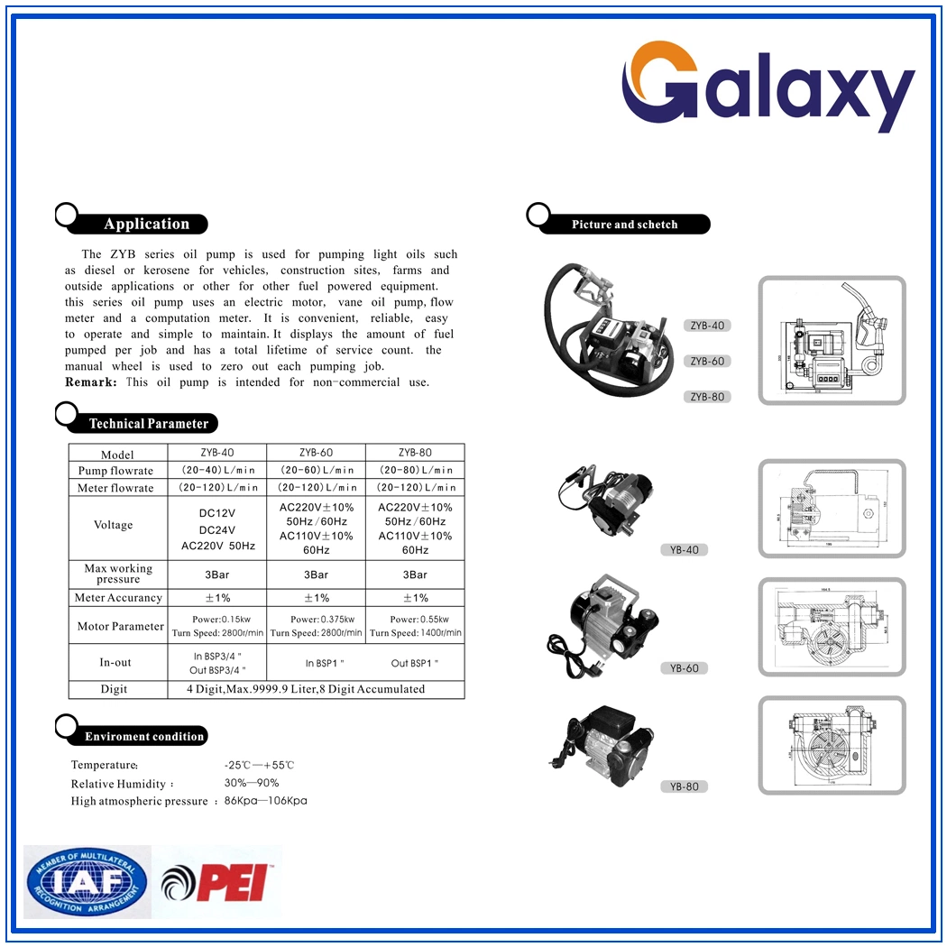 Electric Transfor Pump Unit with Manual Nozzle Zyh-60