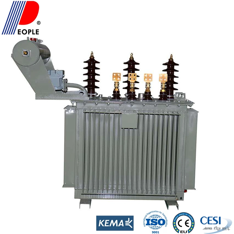 33kv S11-33/0.41 1250kVA Oil Immersed Distribution Power