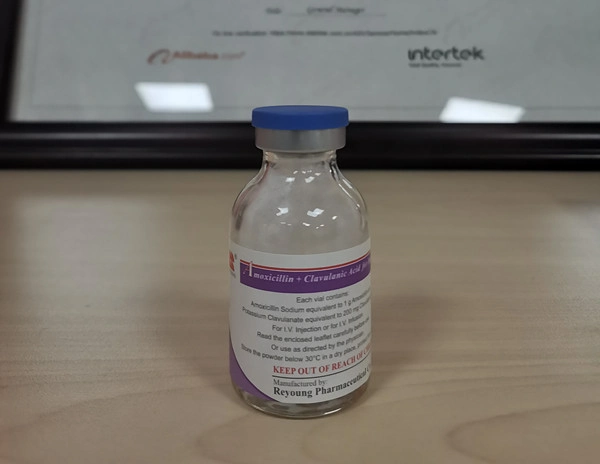 Sensitive Penicillin Antibiotics/Amoxicillin Sodium and Clavulanate Potassium for Injection 0.6g, 1.2g