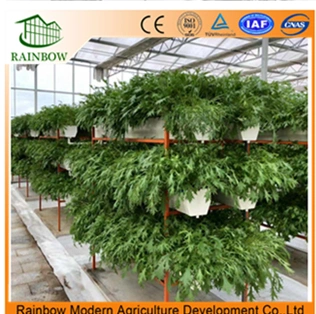 Commercial Agricultrue Greenhouse Hydroponics System