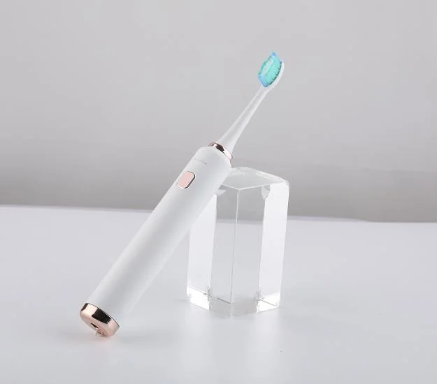 5 Models Ipx8 Waterproof Dental Clinic Oral Care Electric Toothbrush