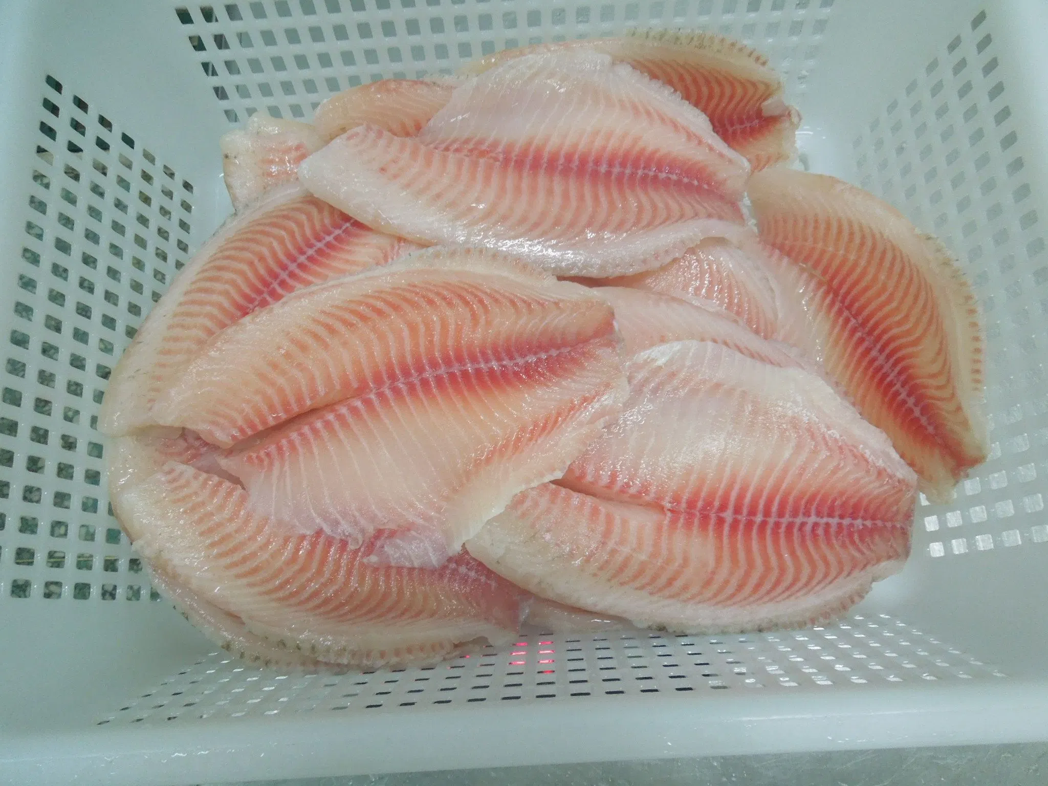Frozen Chinese Delicious Seafood Tilapia Fillet