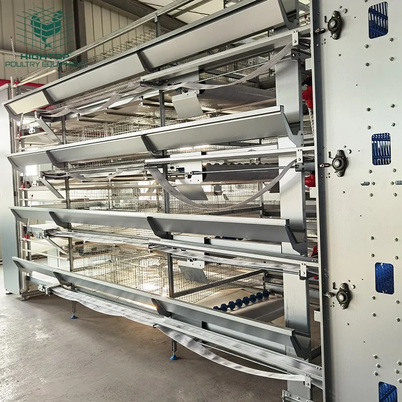 Fully Automatic Layer Poultry Equipment Battery Cage System