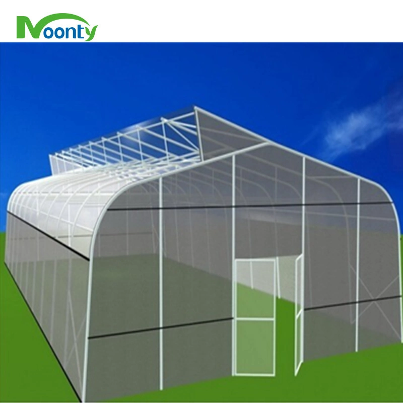 Tropical Cheap Single Sawtooth Plastic Film Greenhouse with Roof Ventilation