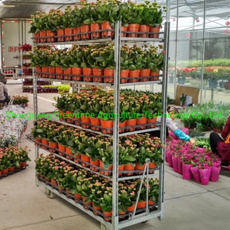 Günstige Verzinkte Blumen Transport Display Garten Gewächshaus Blume Dutch Trolley