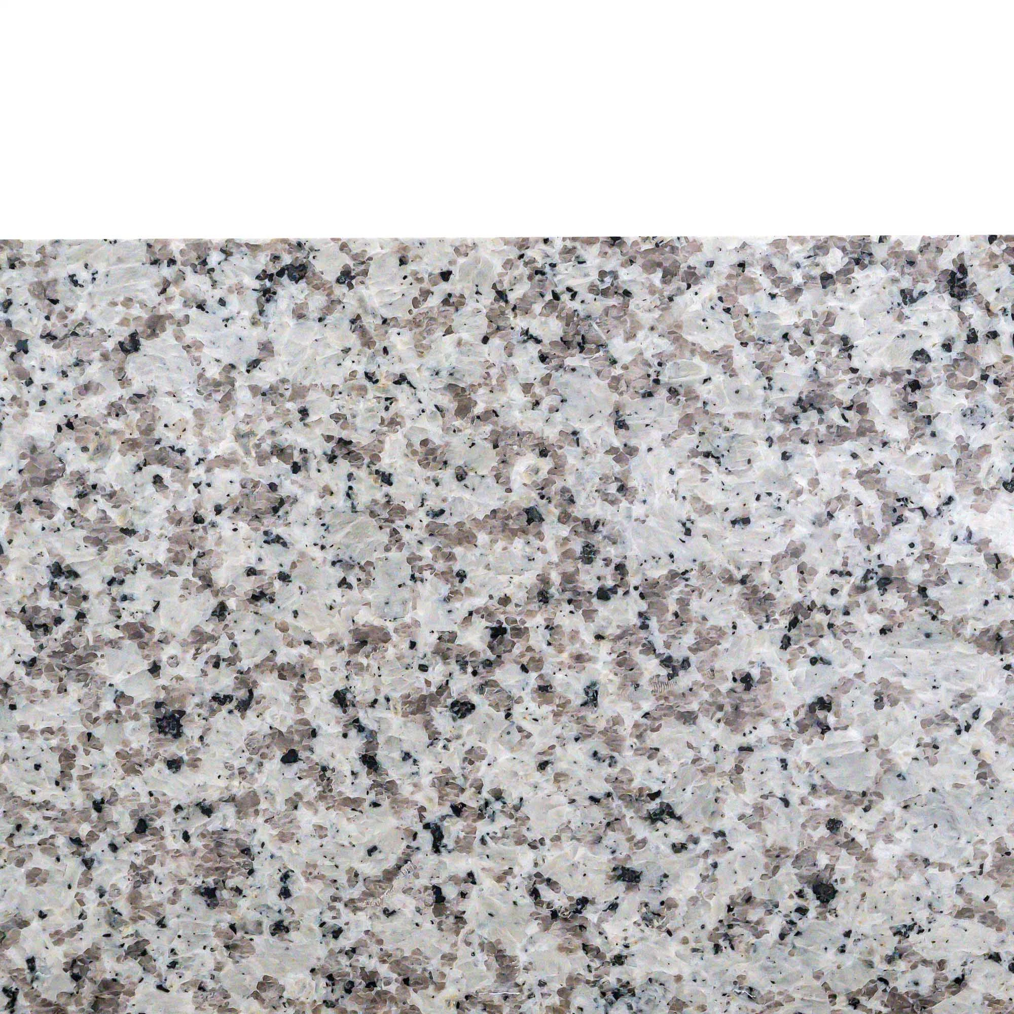 Big White Flower Granite/Vanitytop/Countertops Kitchen Bathroom/Floor Tiles/Outer Interiorwall/Stairs/ Home Decoration/Building Materials Granite