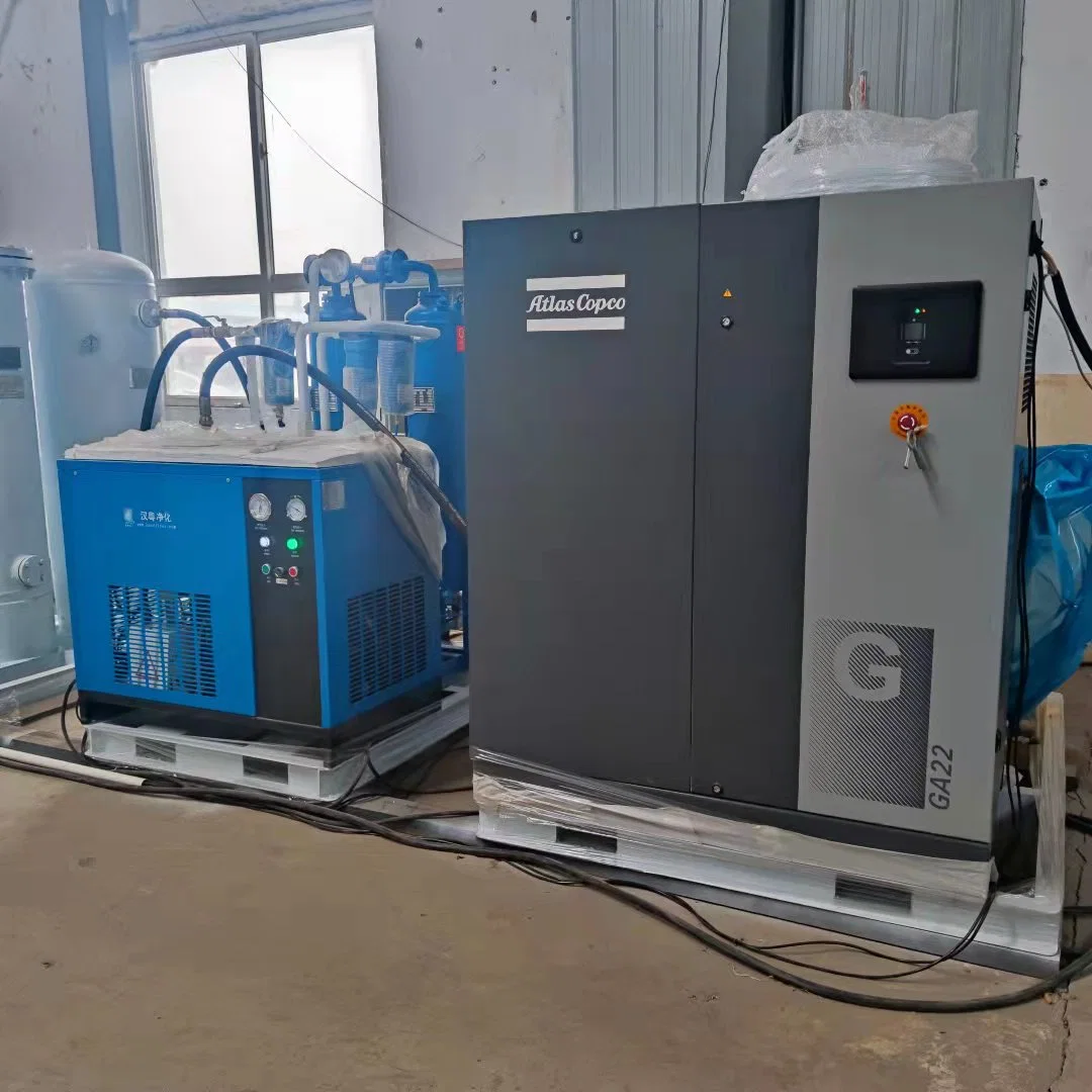 Peru Market 10/20/30/40/50/60/80/100 Nm3/H Containerized Psa Oxygen Plant/Generator for Hospital Medical Use/Fish Farm