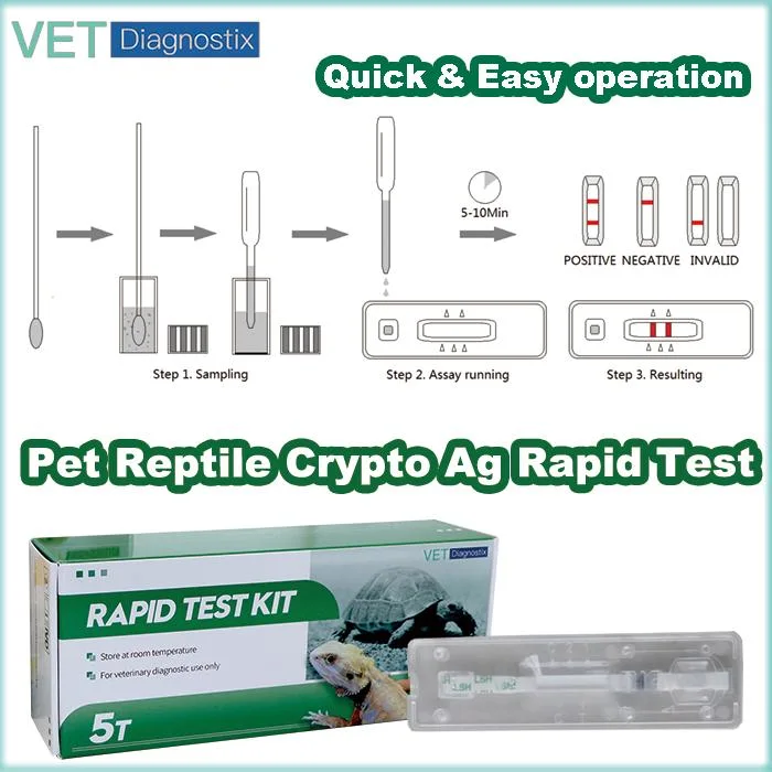 Test Crypto de serpent Cryptosporidium Antigen Test rapide