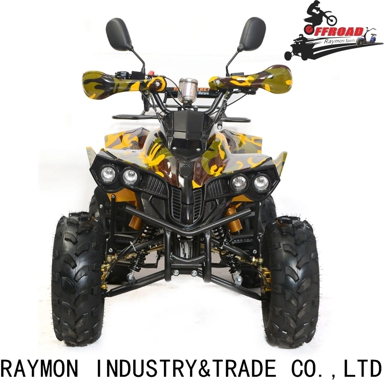 Electric ATV 1000W 60V 20ah Quad Bike