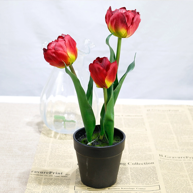 Floristry Supplies Home Decorative 3-Heads Flower Bonsai White Tulip Silk for Artificial Bonsai Mini Tulip Etimo Wholesale/Supplier Tulip