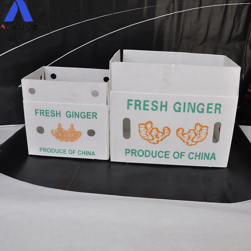 Foldable PP Corrugated Plastic Box Polypropylene Hollow Plastic Crate Corrugated Storage Box Fresh Ginger Box Asparagus Box