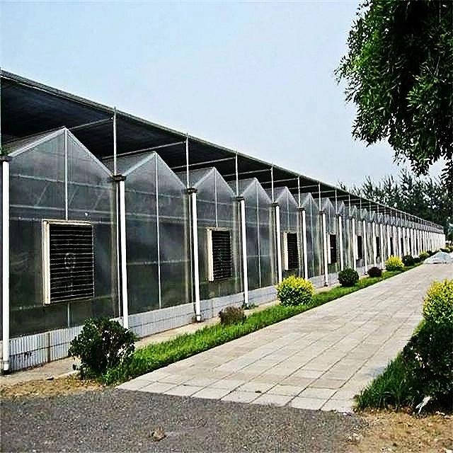 Glass Film Greenhouse with Hydroponic/Aeroponic Cultivation Pump Pipe/Shade/Anti-Insect Net/Heat Cool Fan