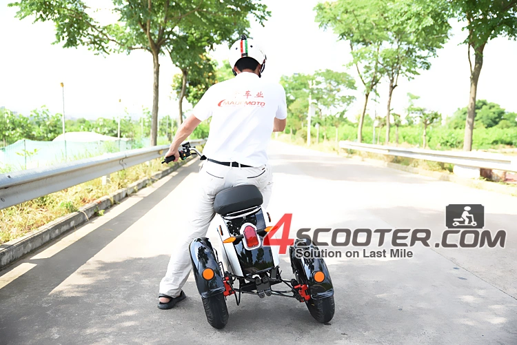 2023 New Type Citycoco 500W 1000W 1500W 2000W 3 Wheel Electric Scooter