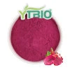 Natural 100% Water Soluble Red Dragon Fruit Powder