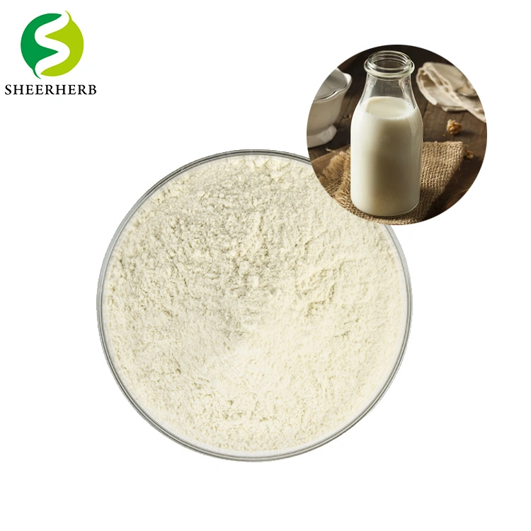 Factory Manufacture Direct Supply Best Whey Protein Isolate Powder CAS 84082-51-9