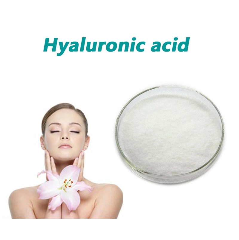 Powder Form Joints Health Products Food Grade Hyaluronic Acid