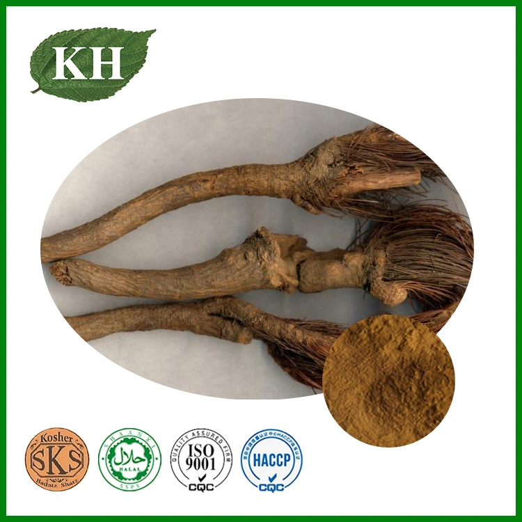 Rhaponticum Carthamoides Extract Maral Root Extract 4:1