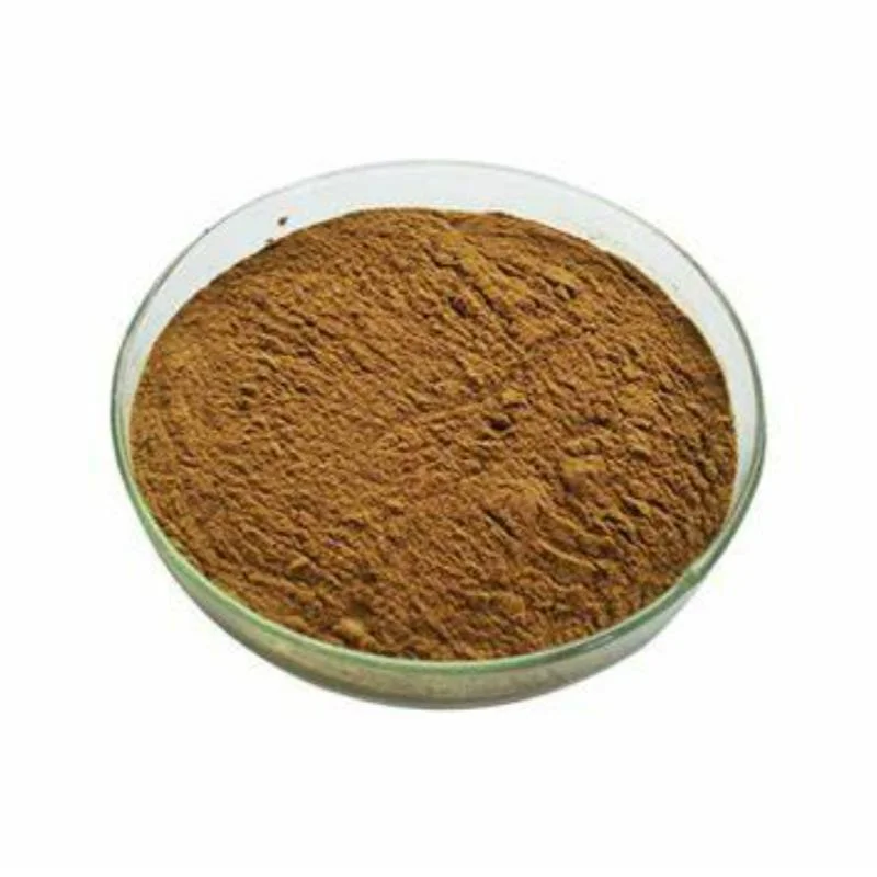 Natual Plant Extract Polygonum Cuspidatum Extract Active Constituent Resveratrol 98% Anti-Allergy Factory