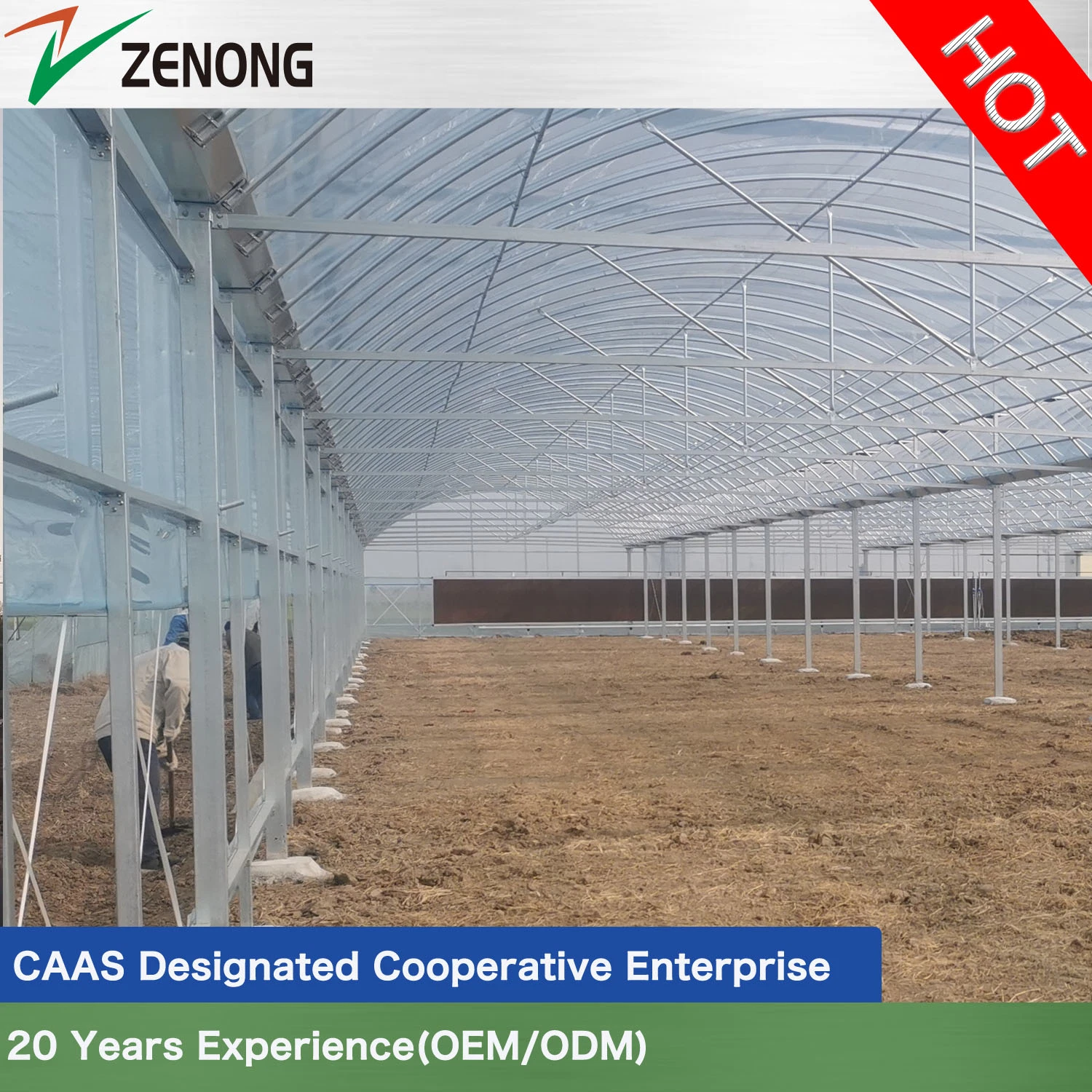 Agriculture Multi-Span Film Green House with Good Roof Natural Ventilation for Vegetables/Hydroponics/Flowers/Roses