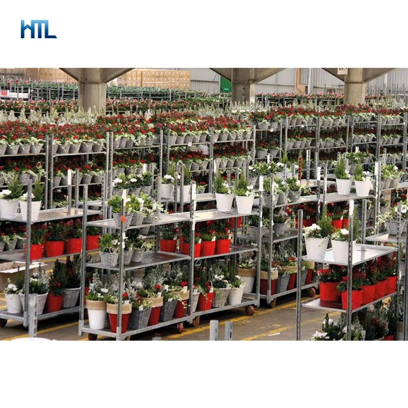 Greenhouse Garden Center Nursery Transport Danish Flower Ccrack Plant Trolley