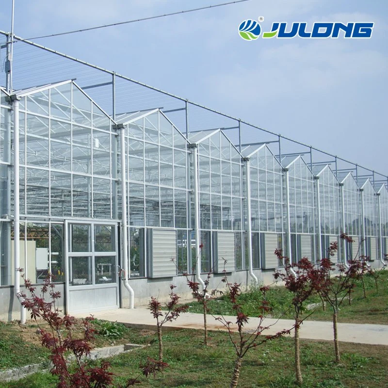 Light Steel Structure Multi Span Greenhouse with European Standards Design