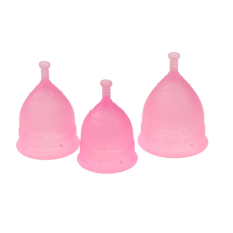 As mulheres dobrável ciclo menstrual Kit Cup