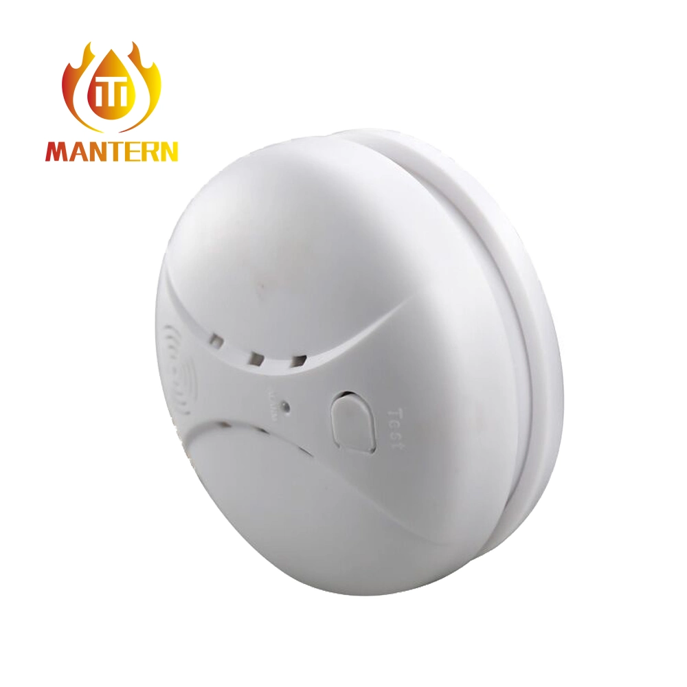 High Quality Mini Standalone Battery Powered Co Gas Detector Alarm