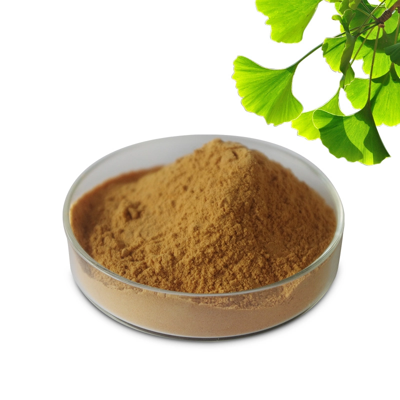 Herbal Extract 24% Flavones 6% Lactones Ginkgo Biloba Leaf Extract