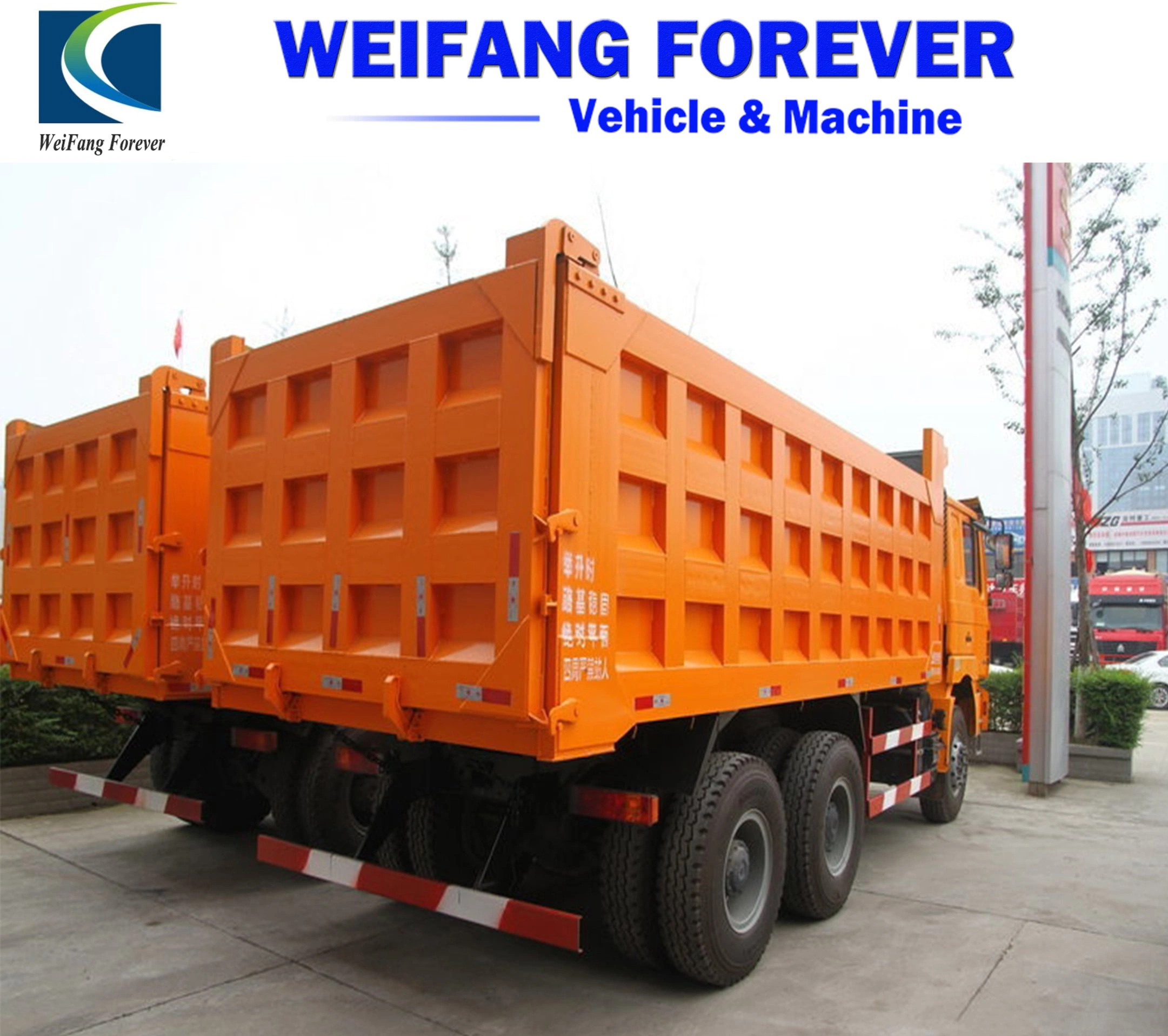 Gebraucht 30 Tonnen 40 Tonnen Dumper Verkauf, 10 Rad Shacman China Heavy Dump Truck